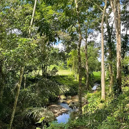 Satu Lingkung Hotel Tetebatu Buitenkant foto