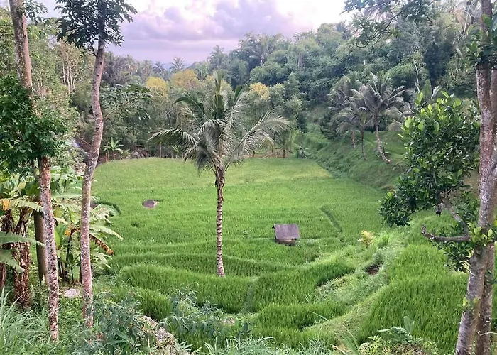 Satu Lingkung