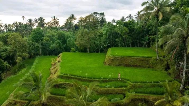 Campsite Satu Lingkung Tetebatu