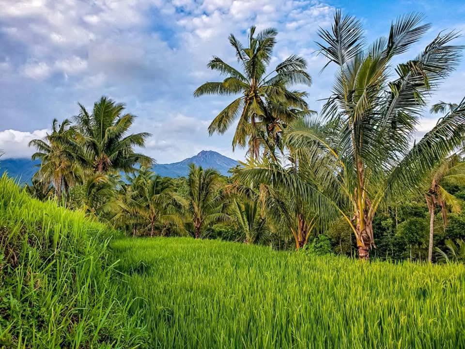 Satu Lingkung Campsite Tetebatu