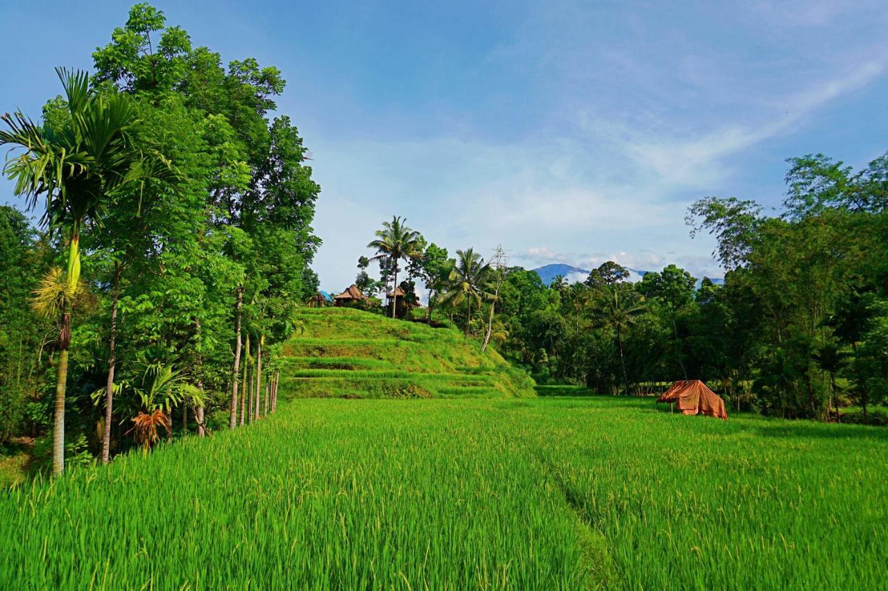 Campsite Satu Lingkung *