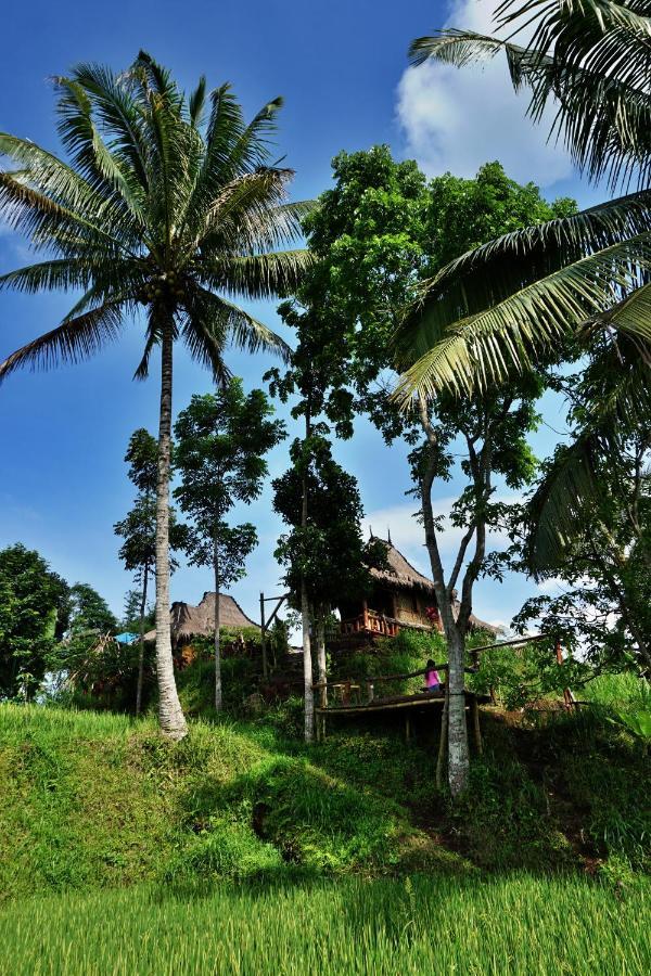 Satu Lingkung * Tetebatu