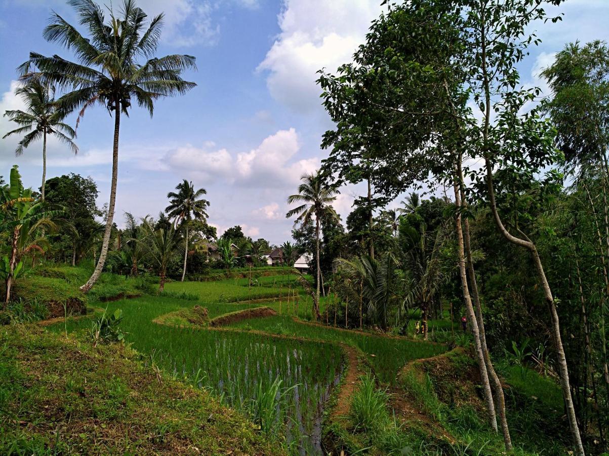 Satu Lingkung Campsite Tetebatu