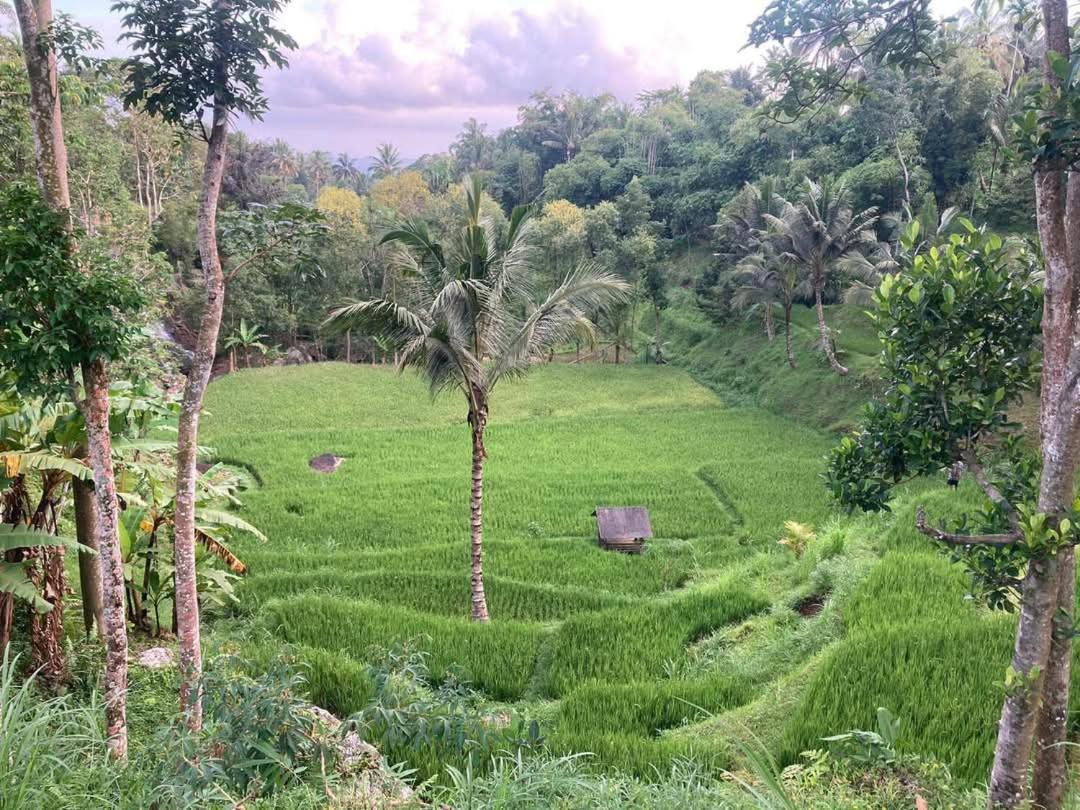 Satu Lingkung Tetebatu