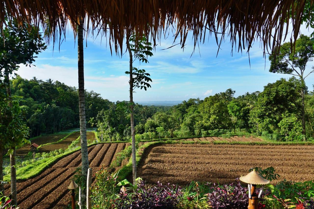 Campsite Satu Lingkung